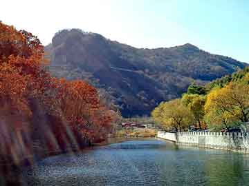 澳门二四六天天彩图库，昕疤克祛疤